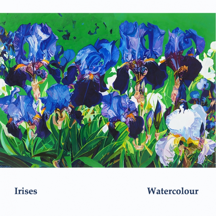 Irises wc