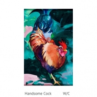 Handsome Cock